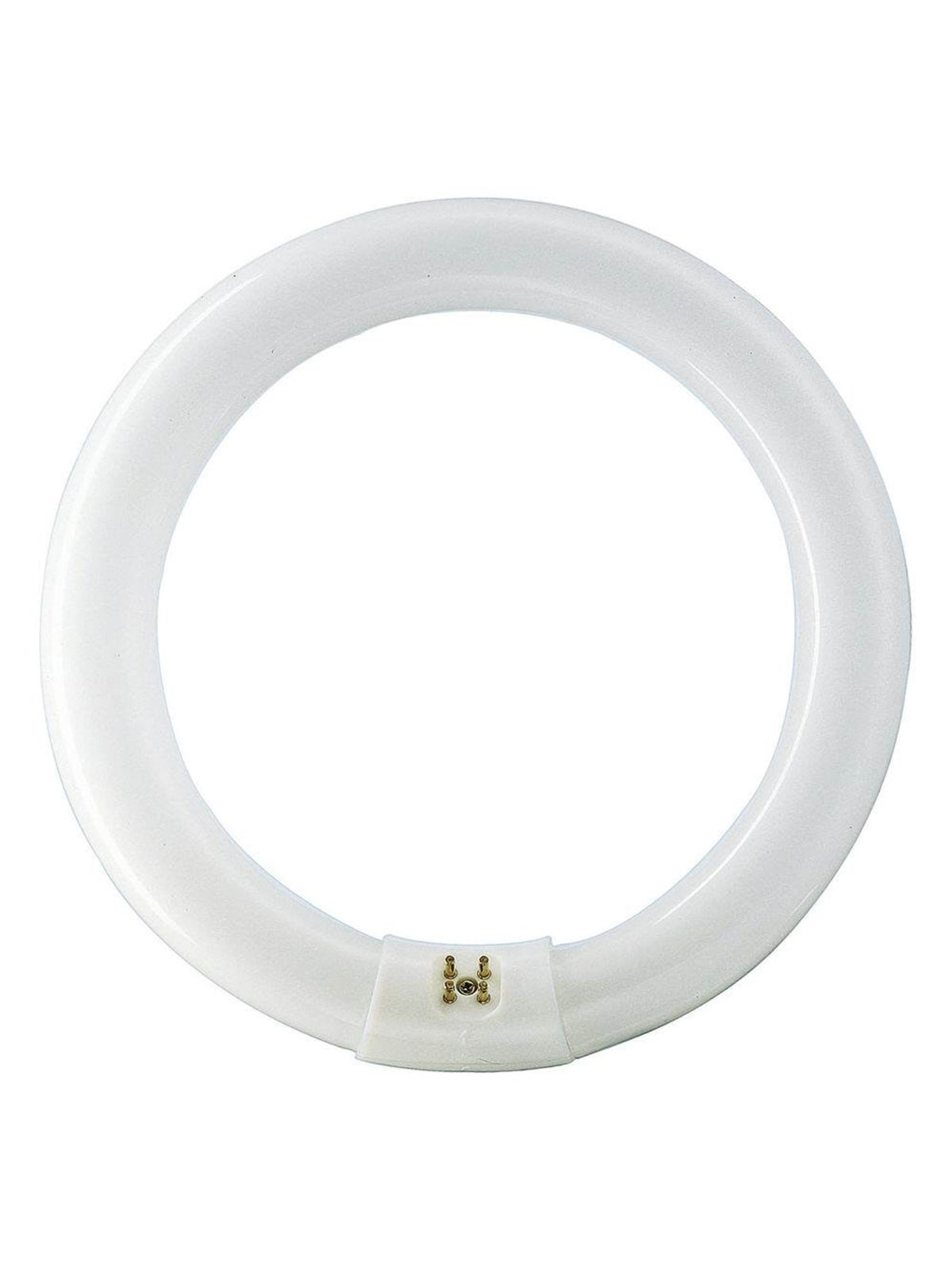 Philips Fluoreszierende Glühbirne Master Tl-e Circular 22w/840 G10q - Led Birnen - 928026284070