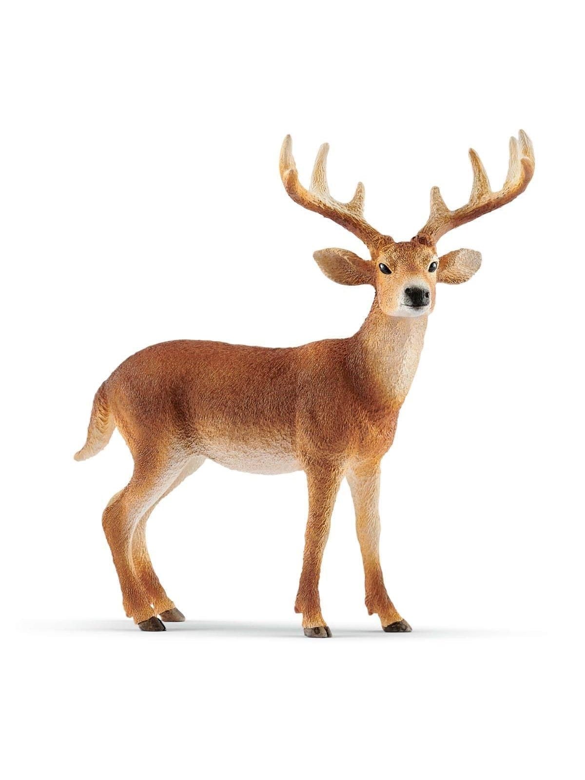 Schleich Wild Life White-tailed Buck - 14818