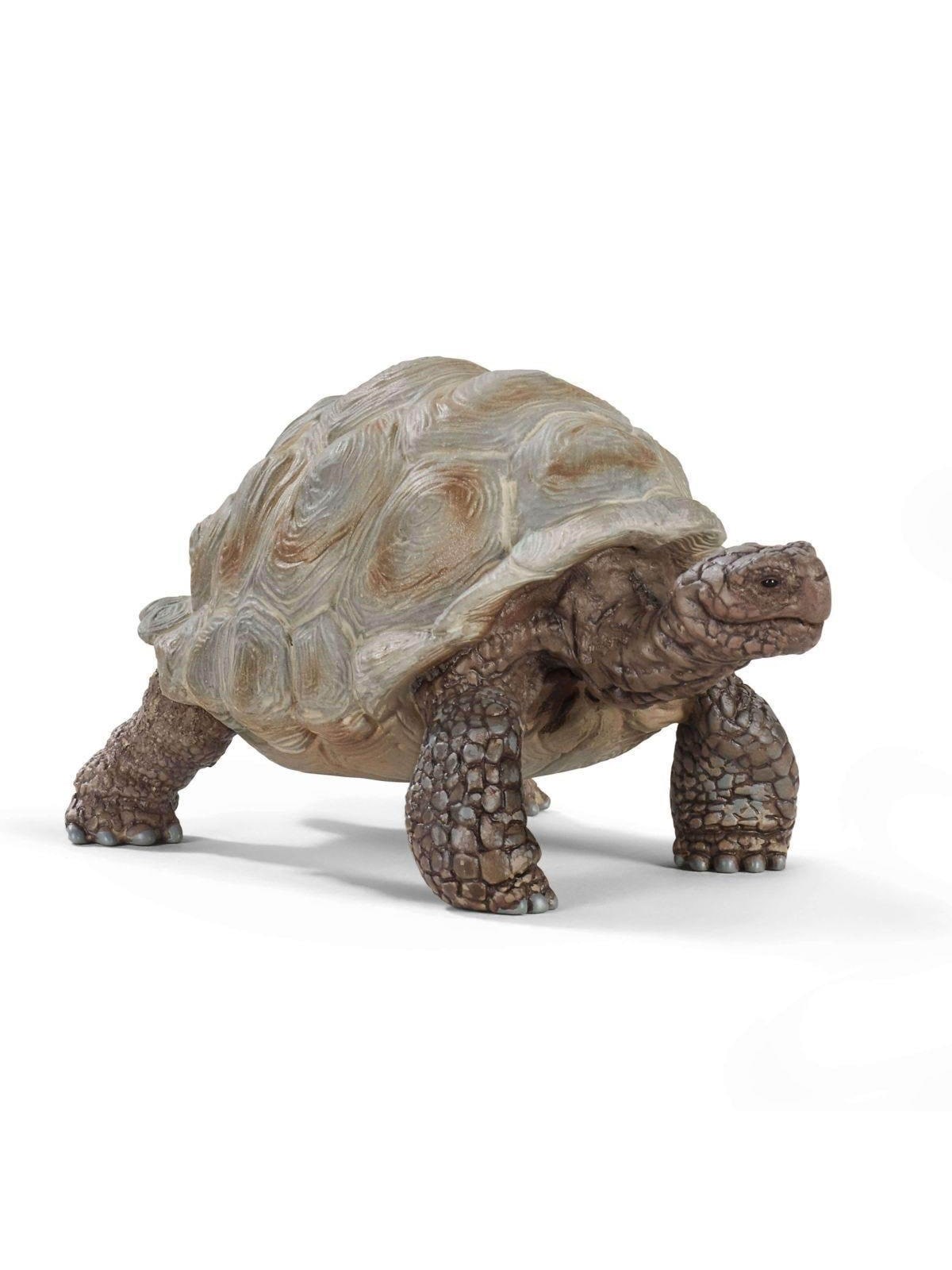 Schleich Giant Tortoise - 14824