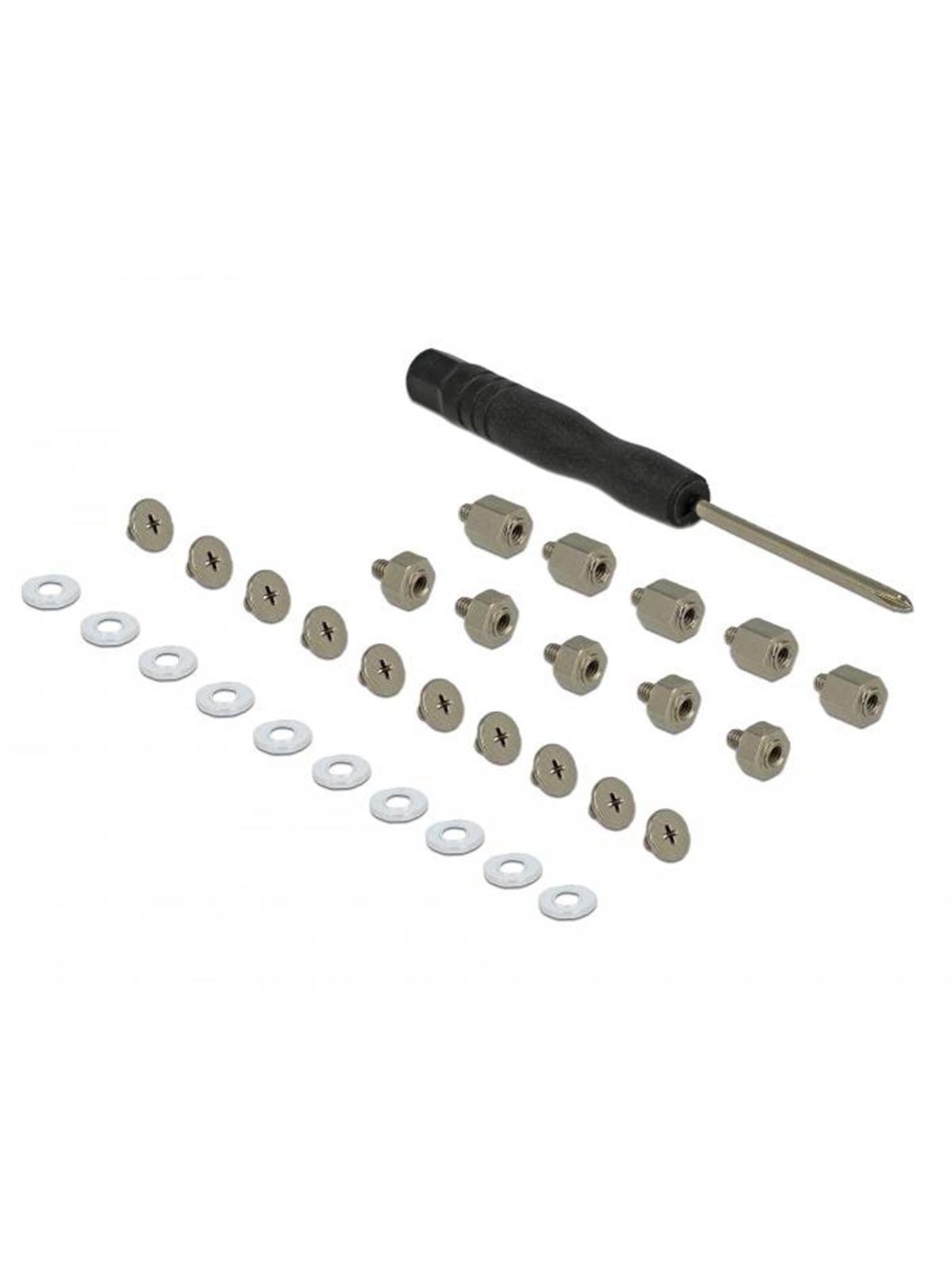 Delock M.2 Ssd Screwkit - Speicherzubehoer - 18288