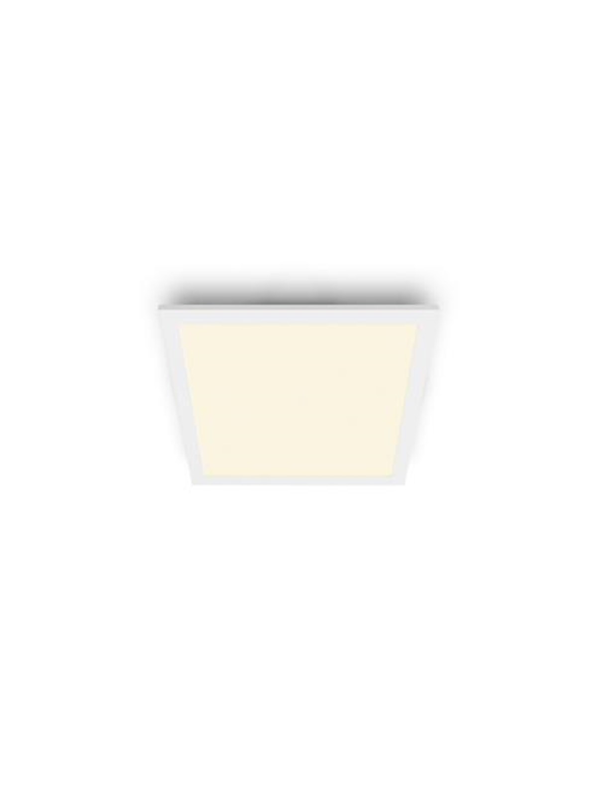 Philips Panel Ceiling Cl560 SS SQ 12w 27k W Hv06 - Lampen - 929002665301