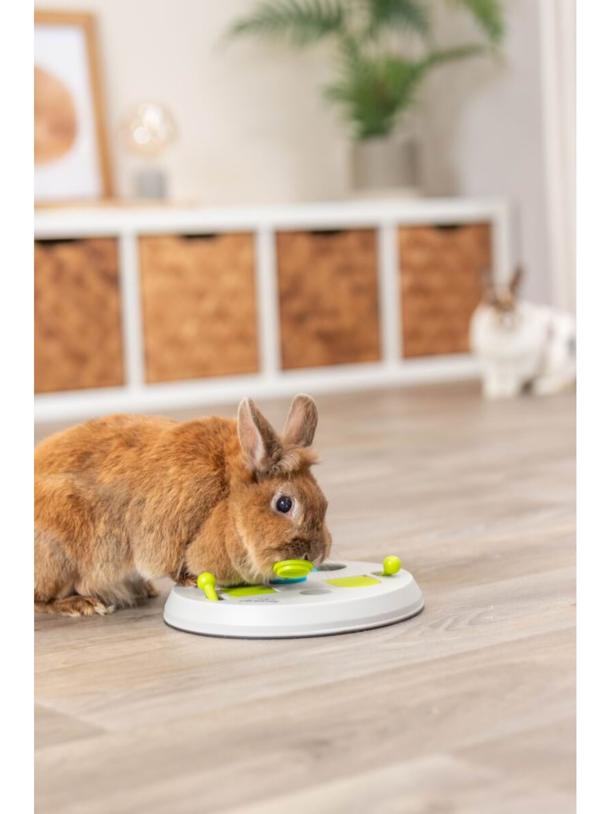 Trixie Flip Board Strategy Game Small Animals - Nagetiere - Tx62813
