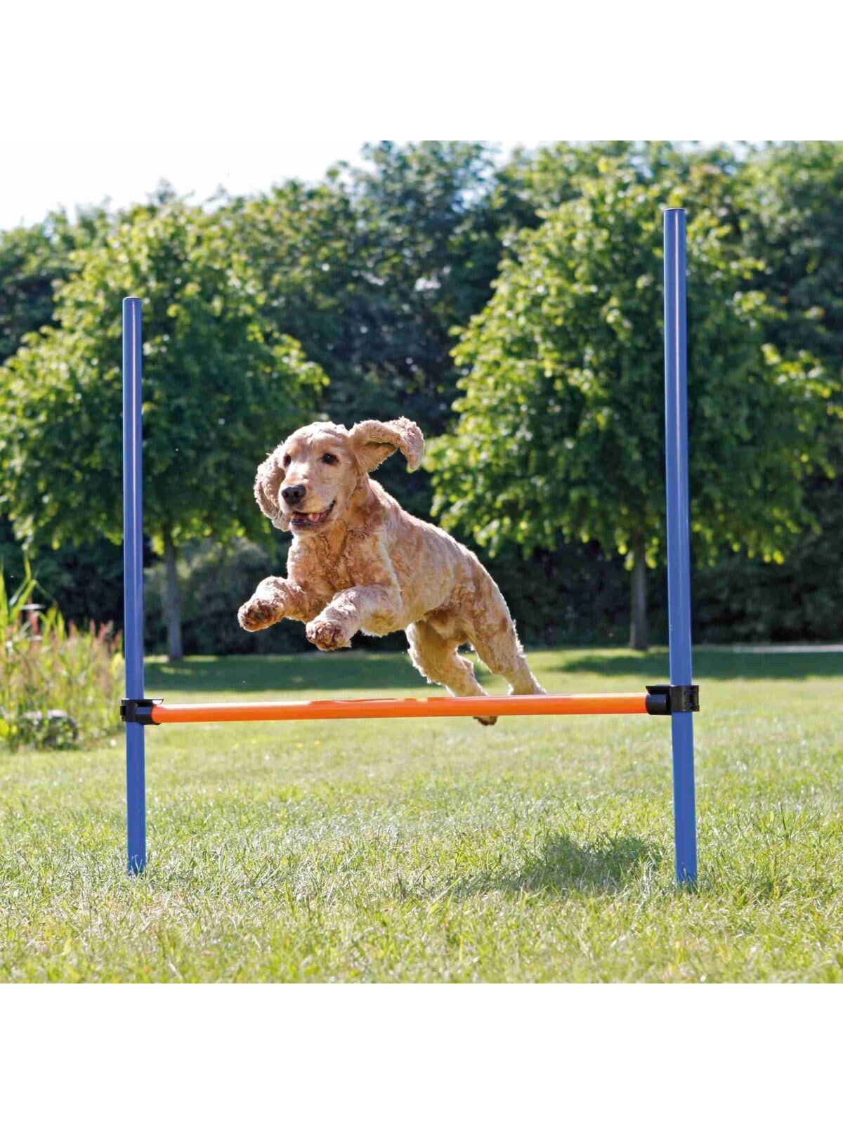 Trixie Dog Fun Agility Hurdle 123x115cm - Hunde - Tx3207