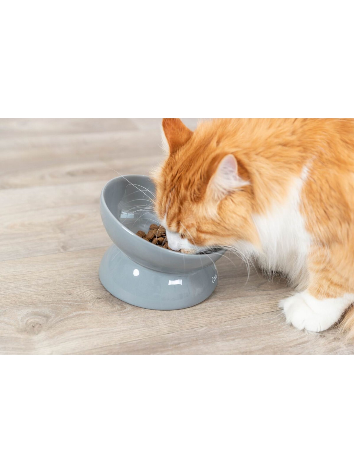 Trixie Ergonomic Feeding Bowl Ceramic Xxl 0.35l 17cm - Katzen - Tx24805