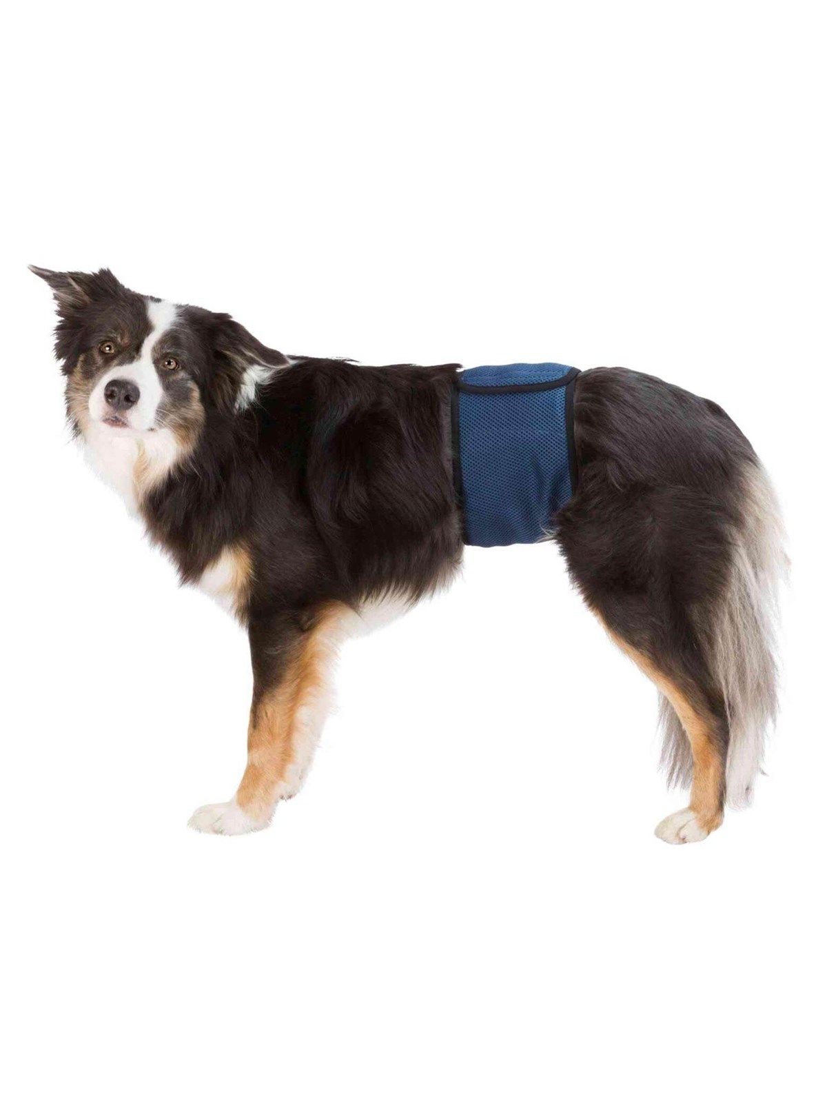 Trixie Washable Nappies For Male Dogs XL Waist 65-75cm - Hunde - Tx23665