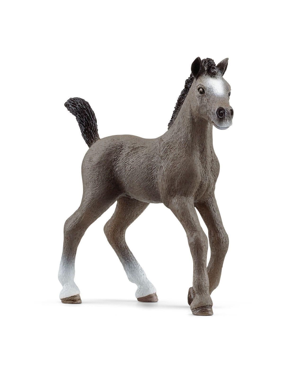 Schleich Cheval de Selle Fr. Foal - 13957