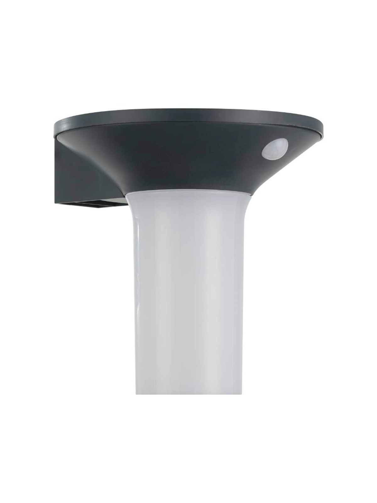 Eglo Corbezzola Graphit - Lampen - 900243