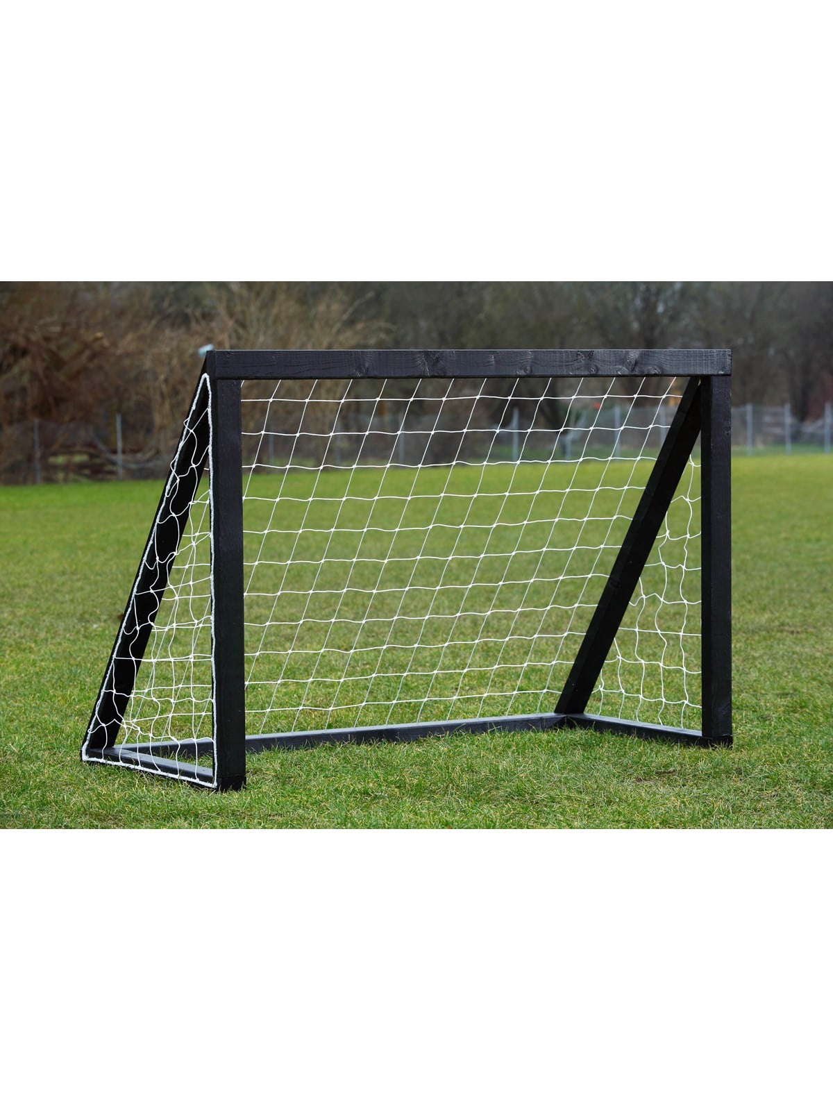 Home Goal Pro Mini - Black Image