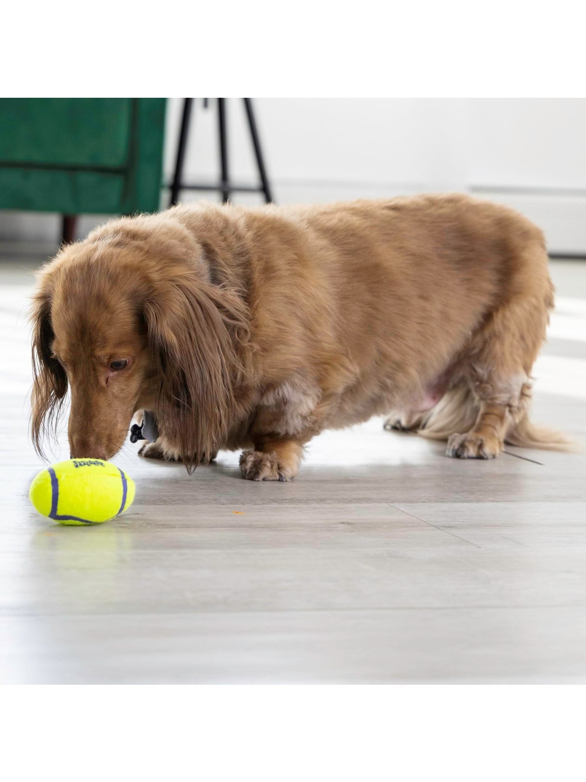 Kong Hundespielzeug Airdog Squeaker Football Small 8cm - 340528
