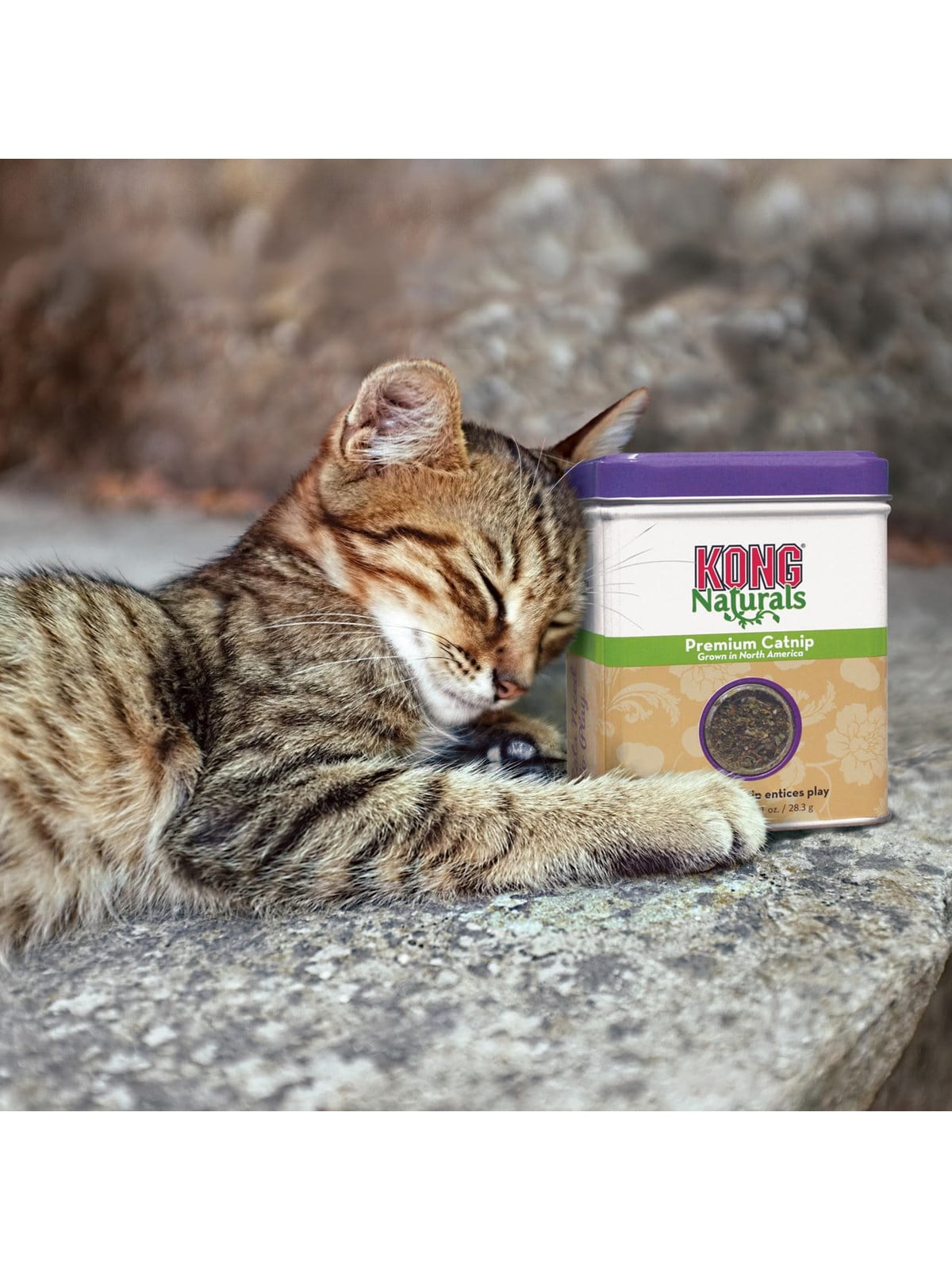 Kong Naturals Premium Catnip 28g - Katzen - 340628