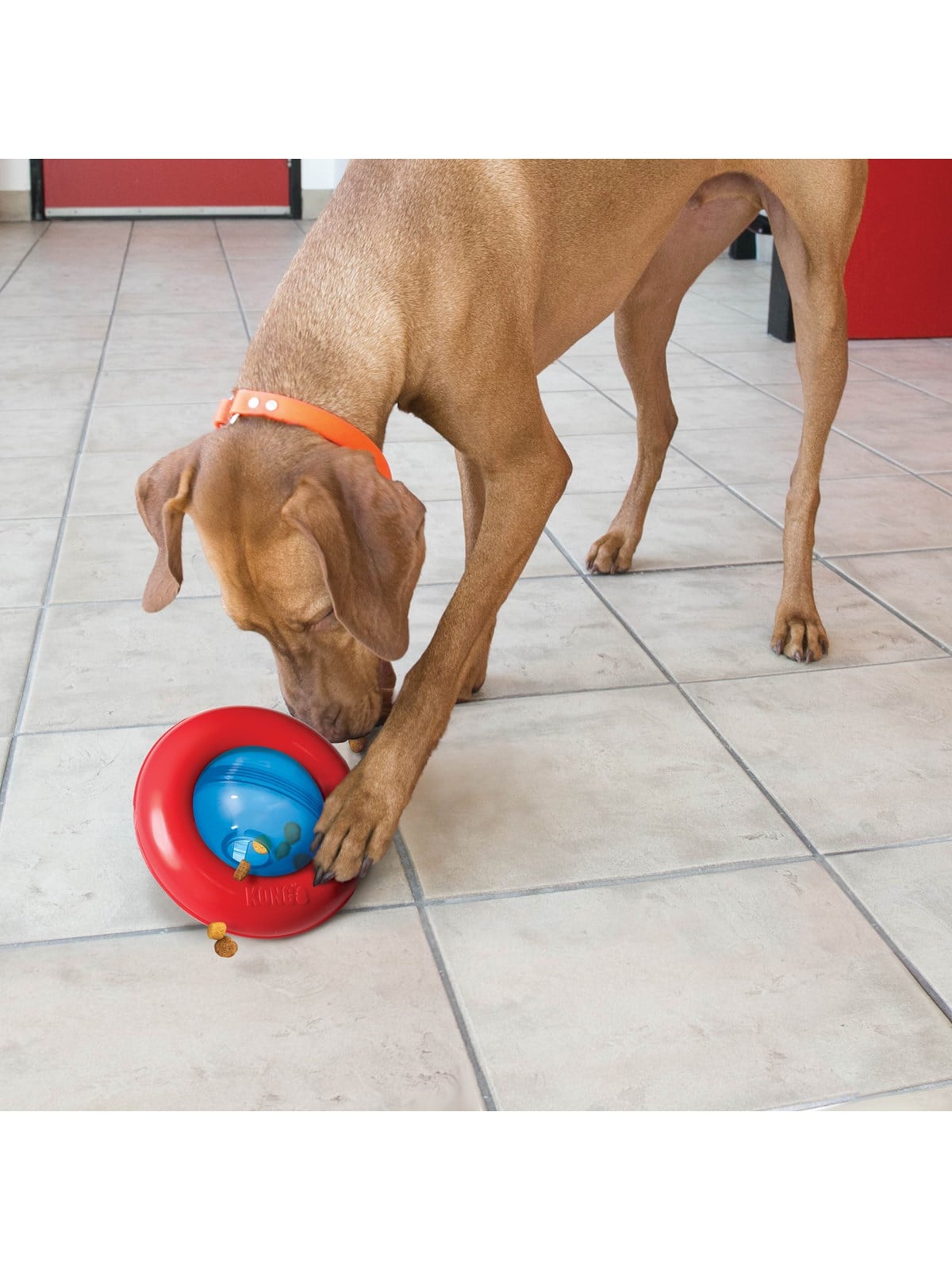 Kong Dog Toy Gyro Small 14cm - Hunde - 340808