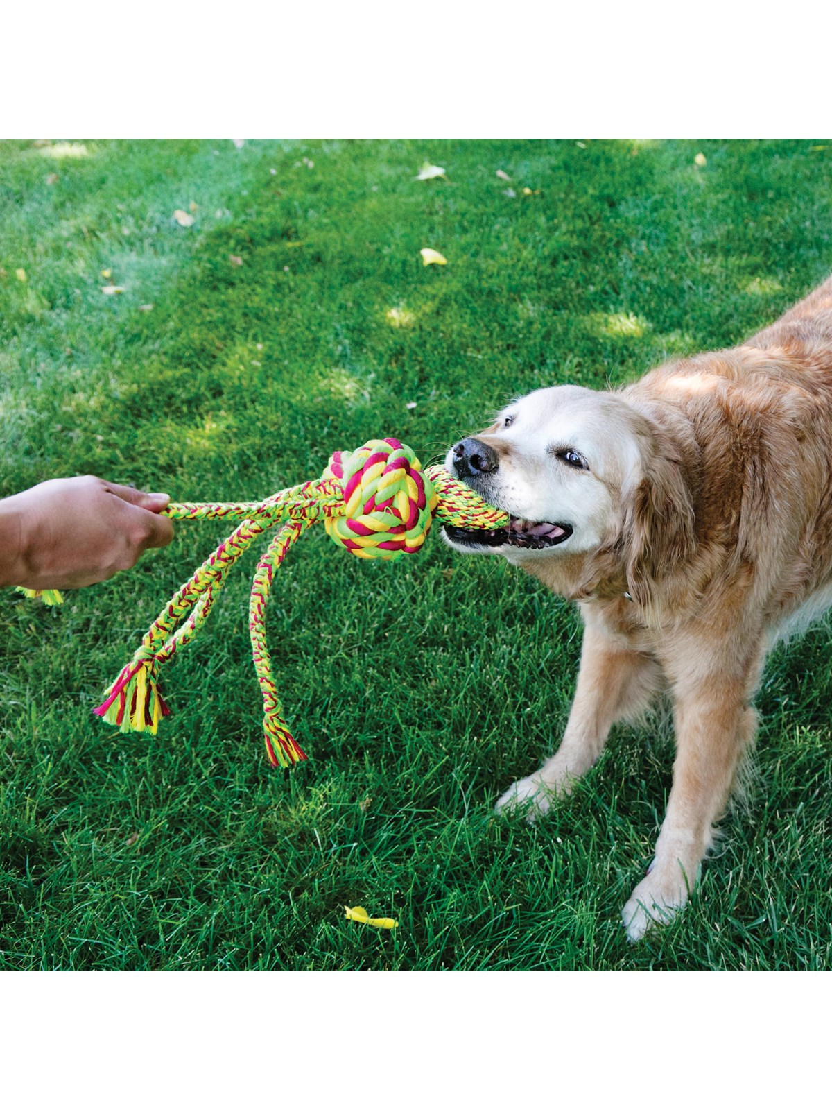 Kong Hundespielzeug Wubba Weaves Mit Seil Verschiedene Farben - 340841