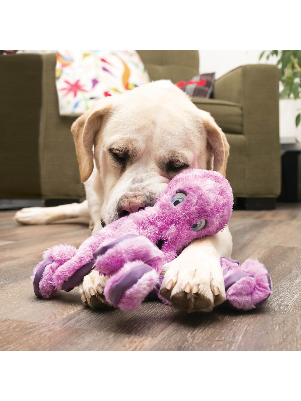 Kong Dog Toy Softseas Octopus Large 27cm - Hunde - 340846