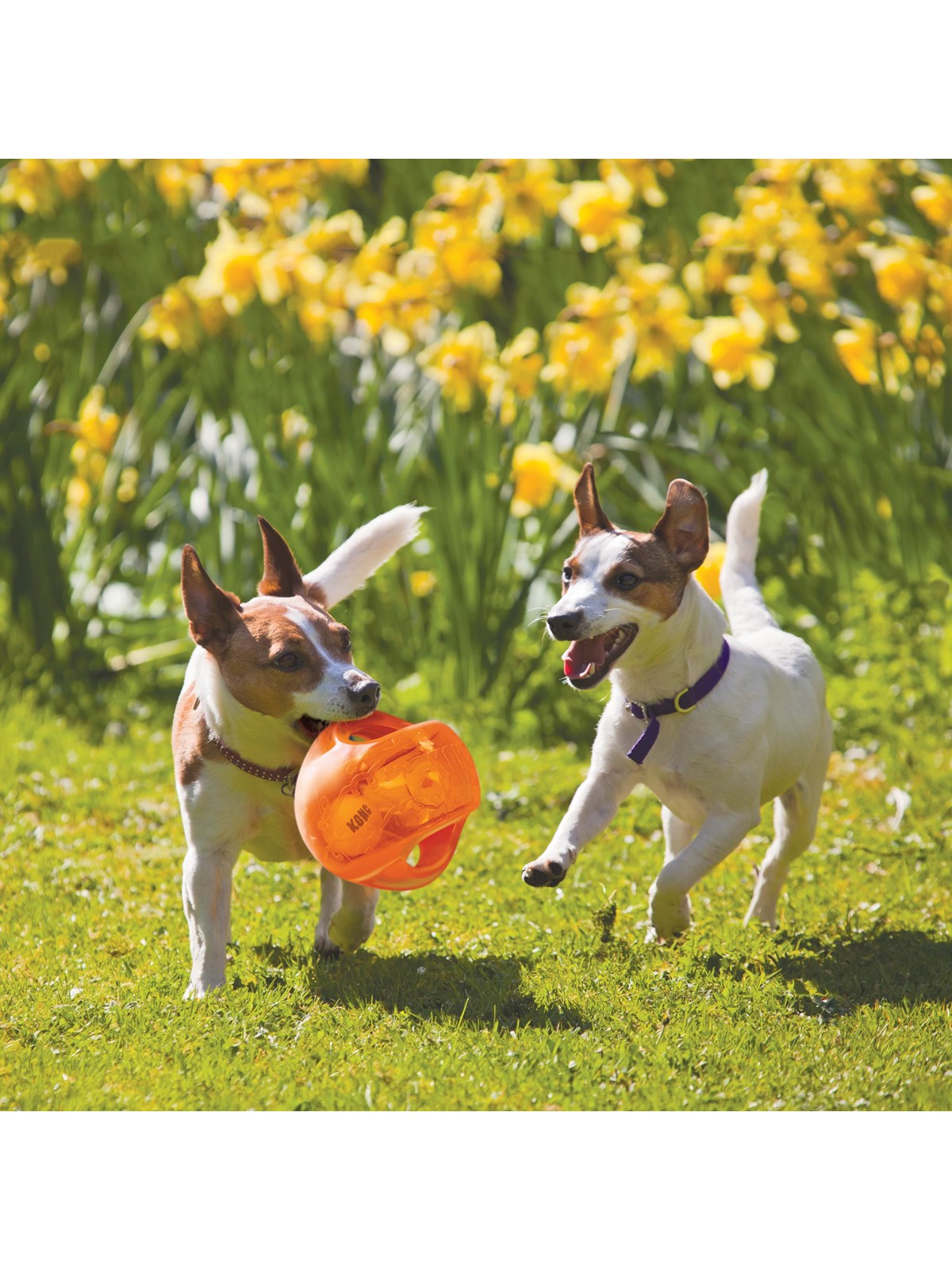 Kong Dog Toy Jumbler Ball Medium/large 14cm - Hunde - 340917