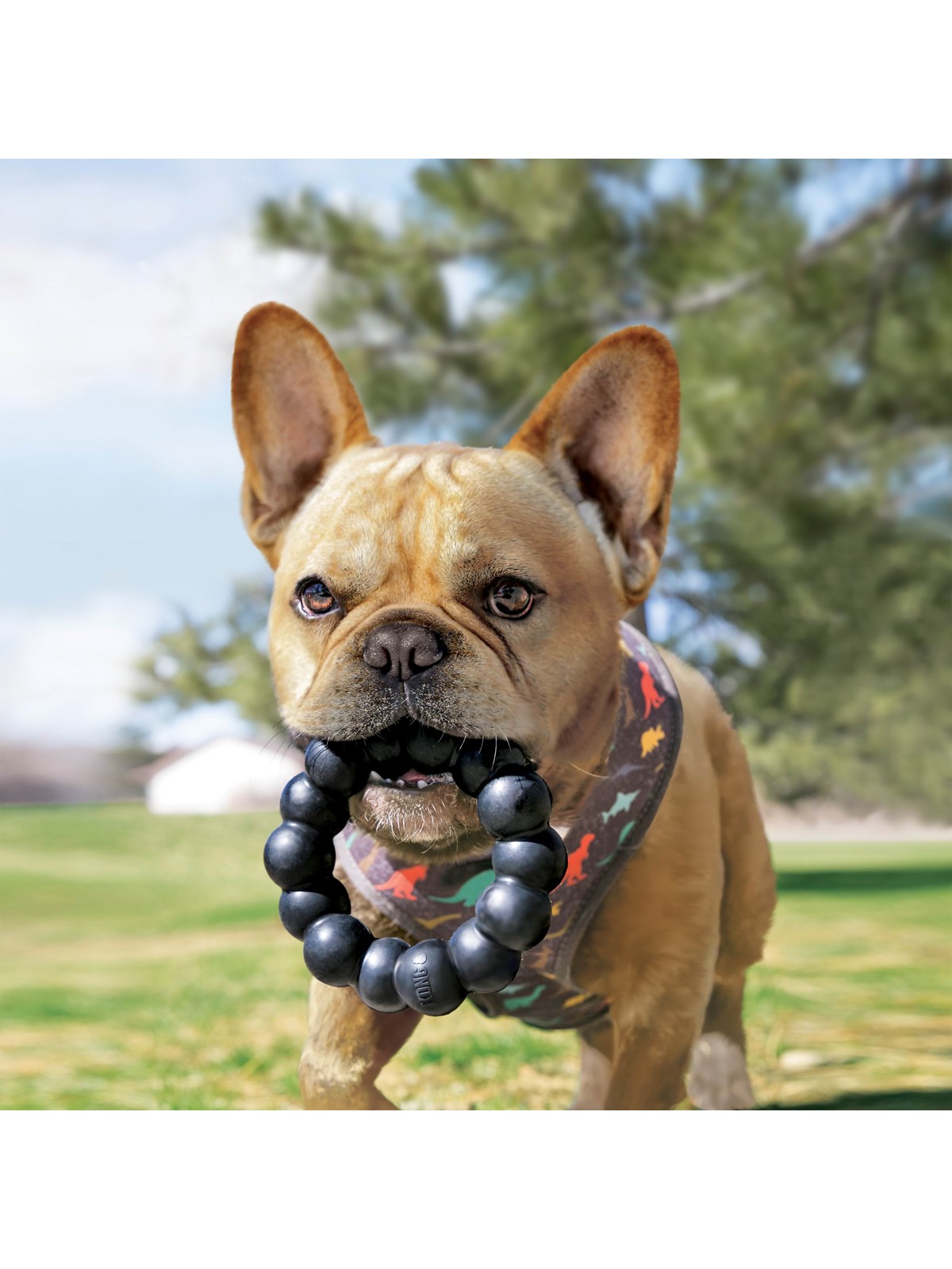 Kong Dog Toy Extreme Ring XL 13cm - Hunde - 340926