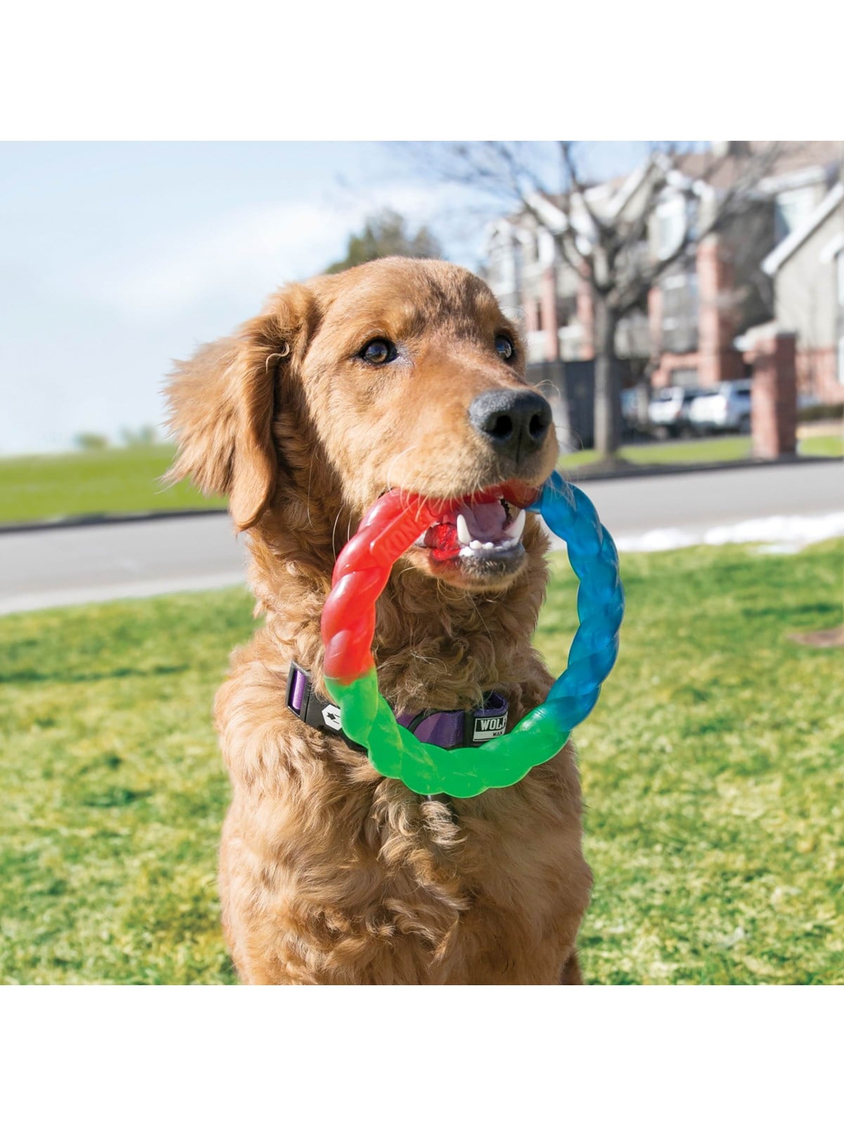 Kong Dog Toy Twistz Ring Small 17cm - Hunde - 340938