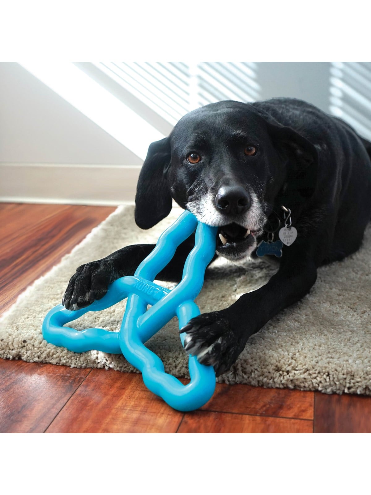 Kong Dog Toy Flyangle Assorted Colors Large - Hunde - 341015