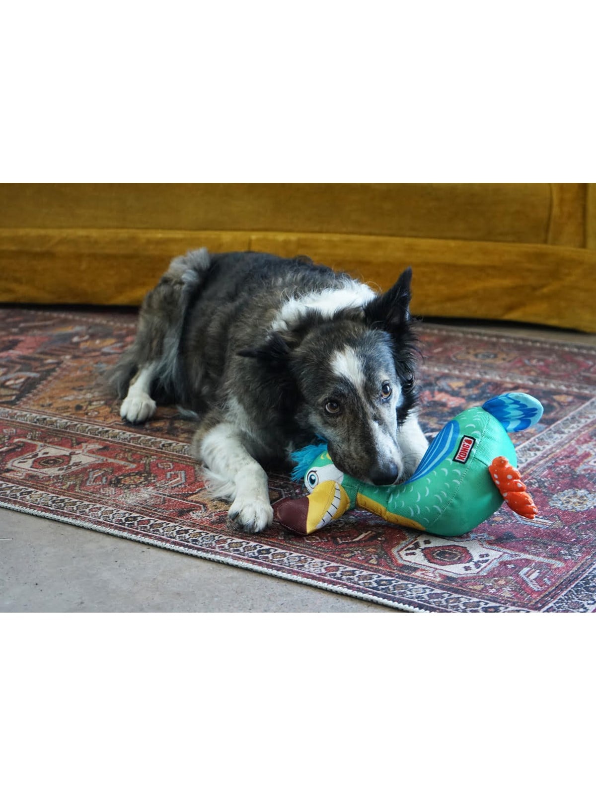 Kong Hundespielzeug Ballistic Vibez Birds Mittel/groß 26cm - 341122