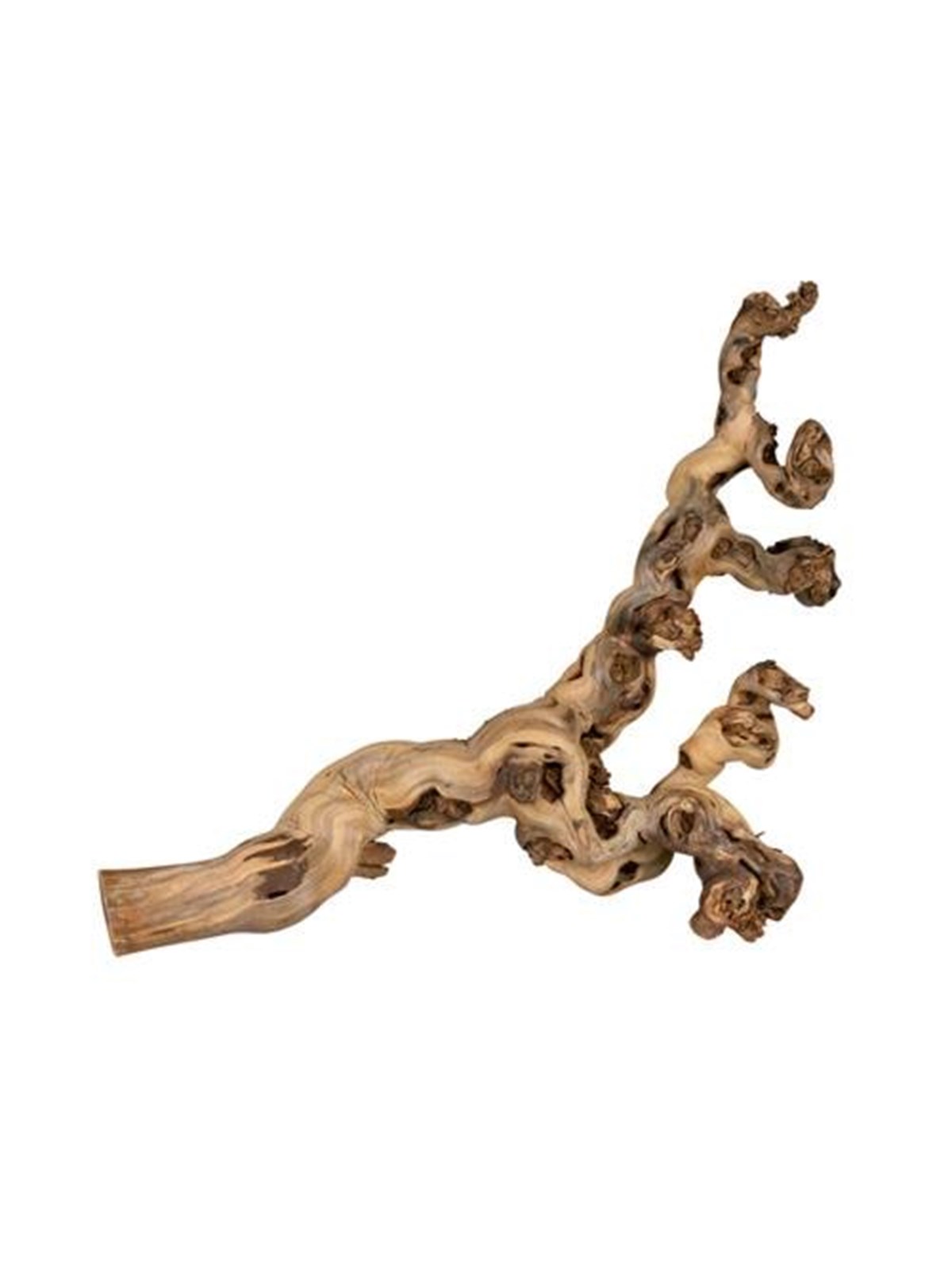 Trixie Grape Vine Water-blasted For Birds And Small Animals 55-75cm - Vogelspielzeug - Tx76171