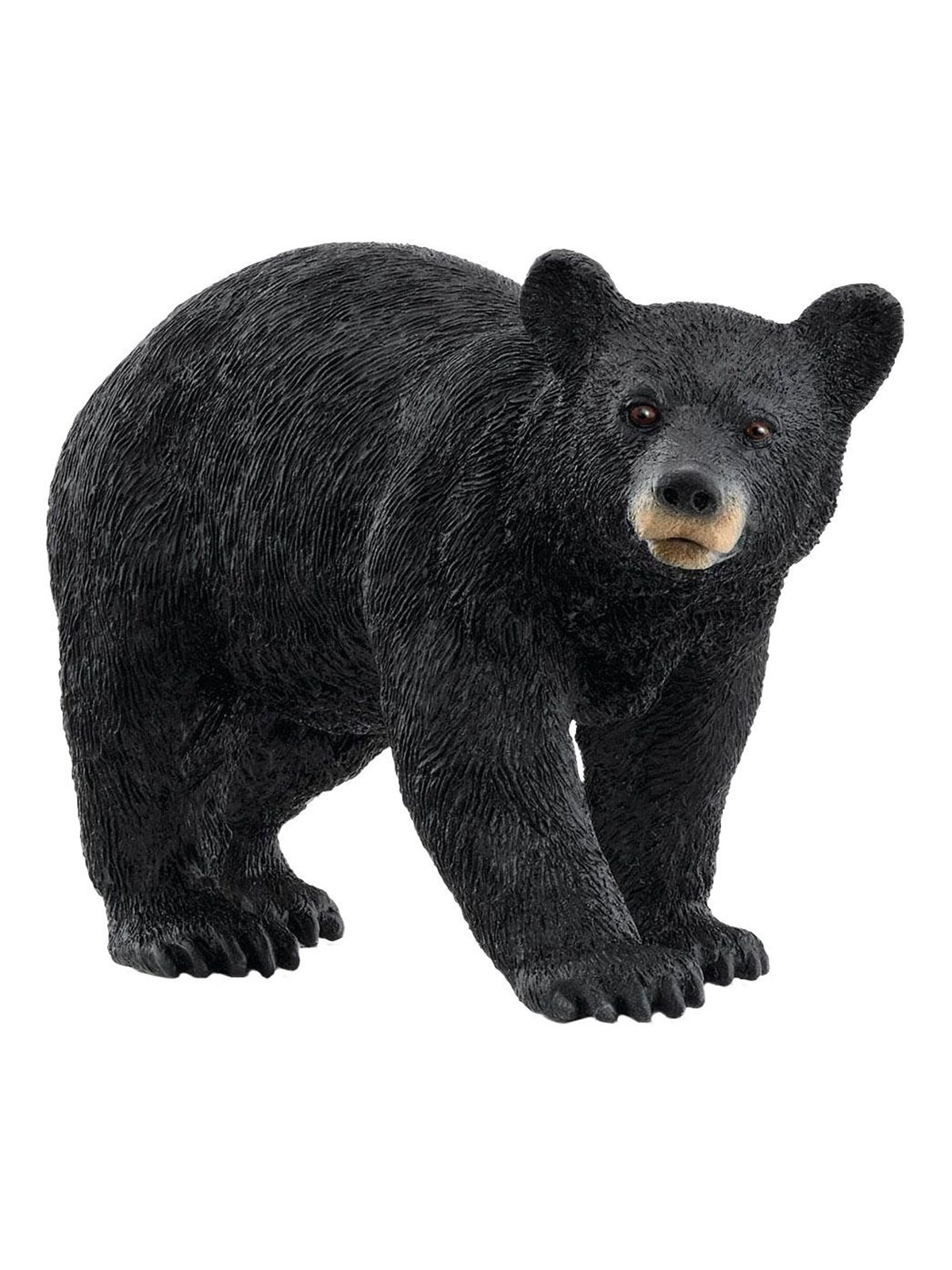 Schleich American Black Bear - 14869