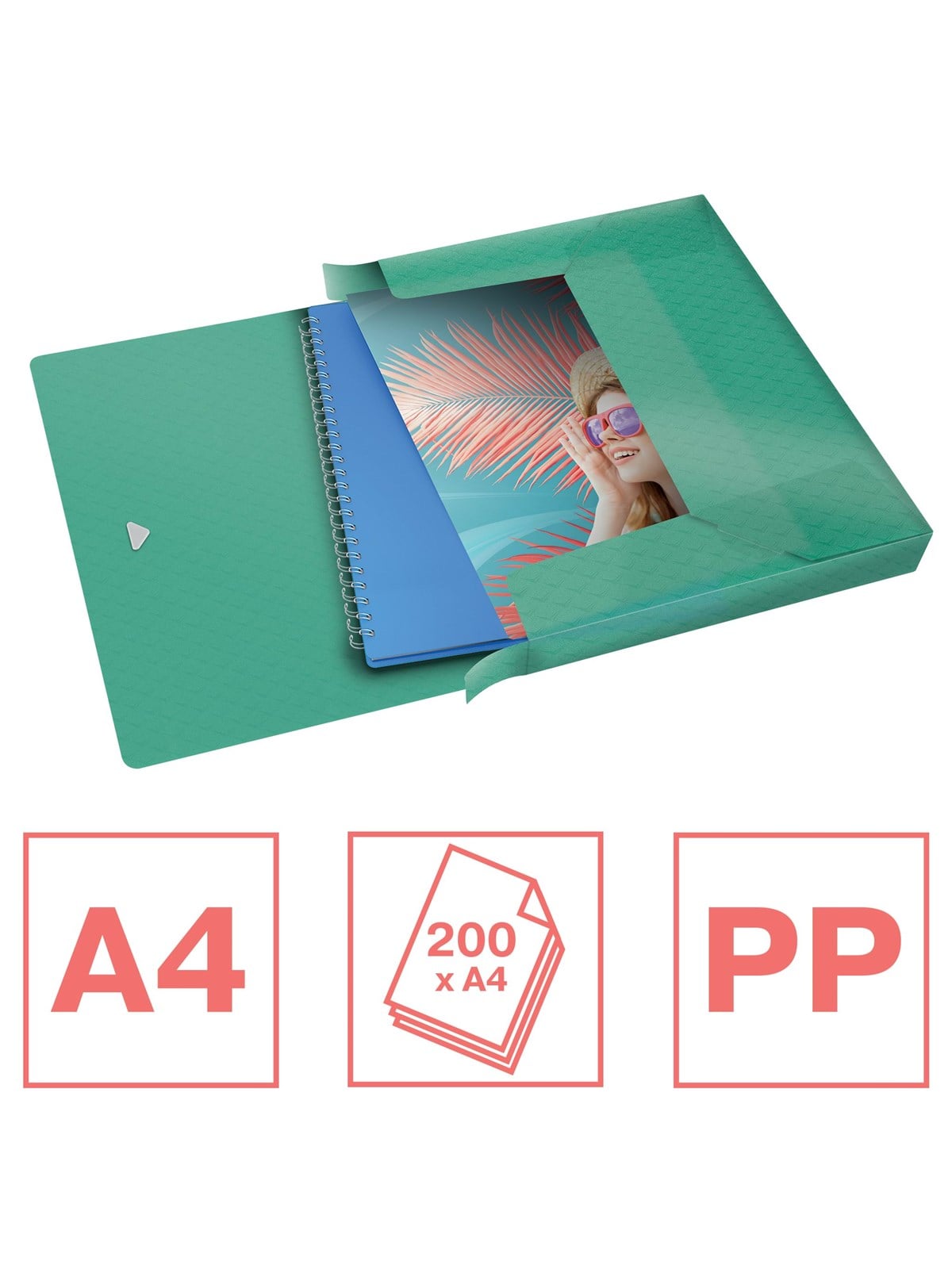 Esselte Colour'Breeze Ablagebox Grün