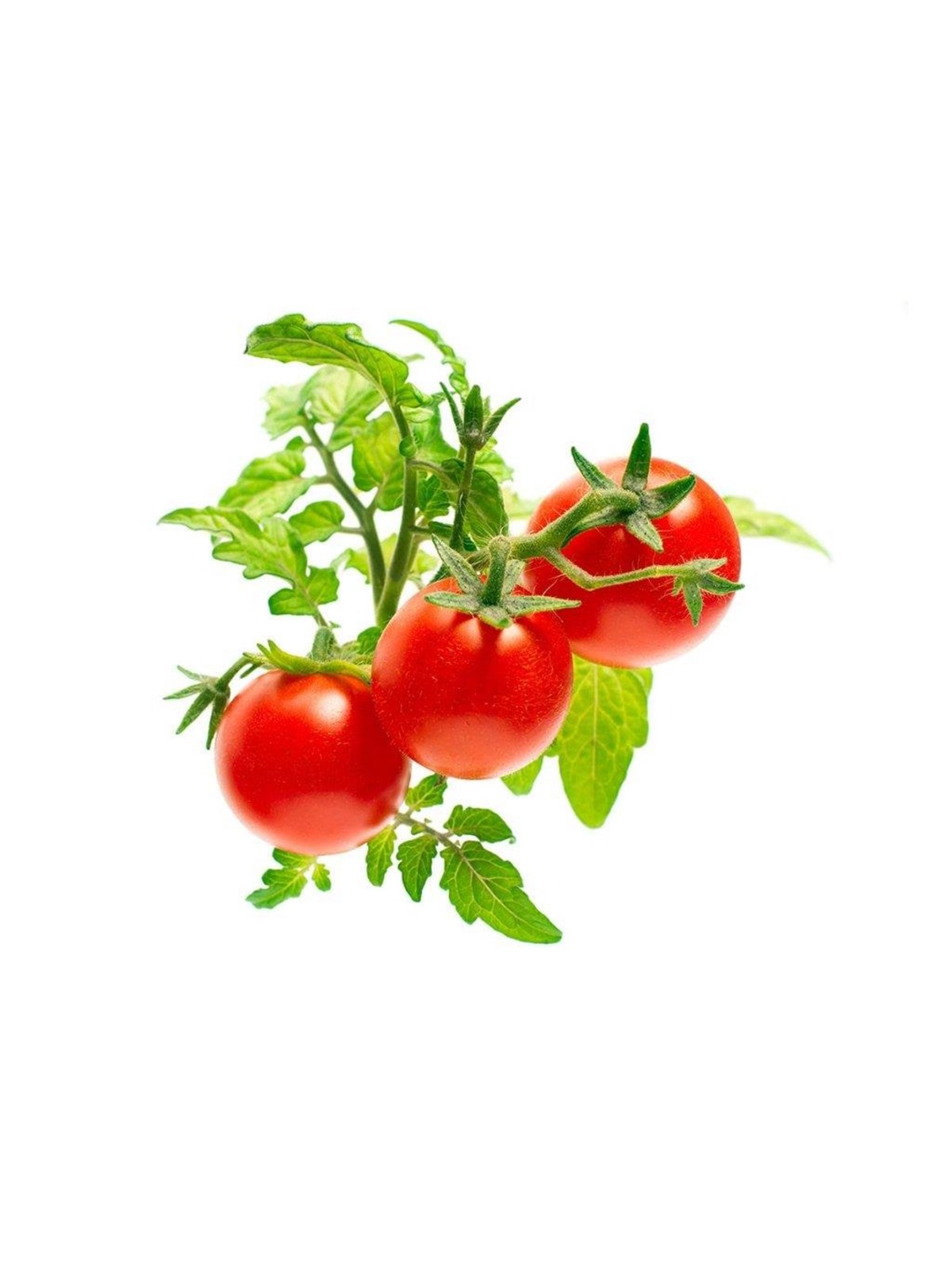 Click & Grow Click And Grow - Smart Garden Refill 3-pack - Mini Tomato (Sgr5x3) - Smart Home