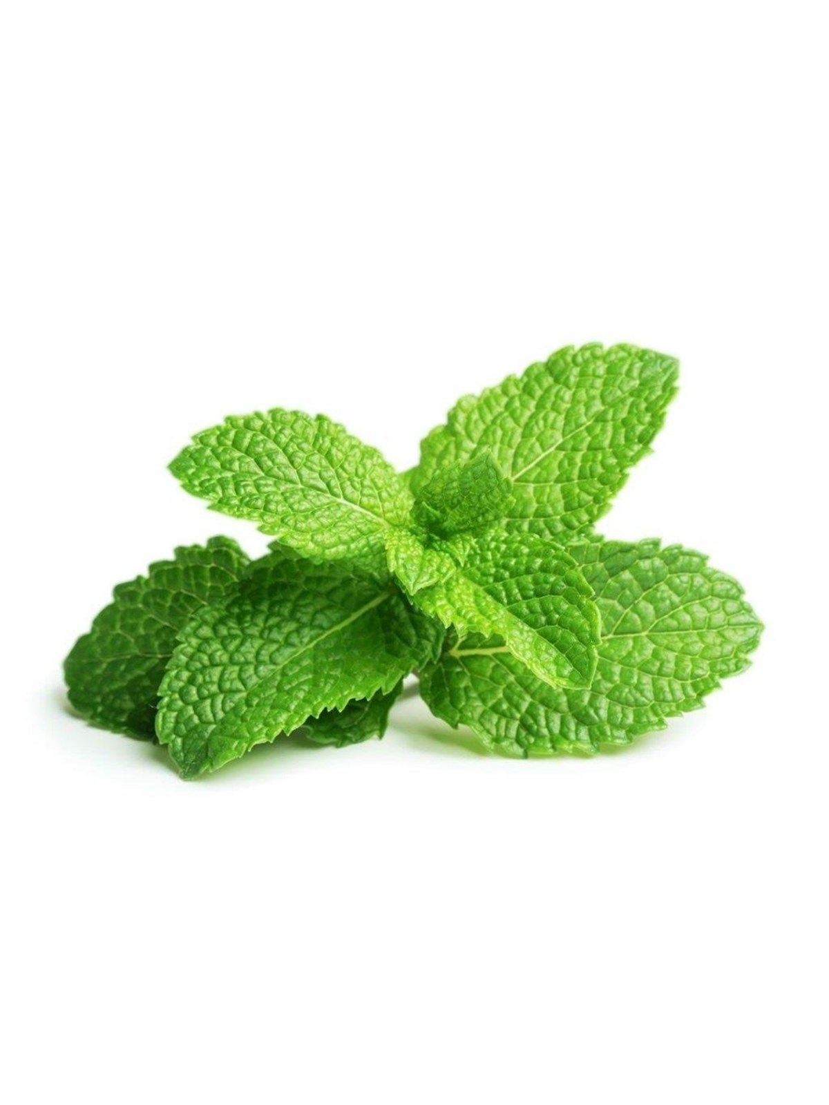 Click & Grow Click And Grow - Smart Garden Refill 3-pack - Peppermint (Sgr22x3) - Smart Home
