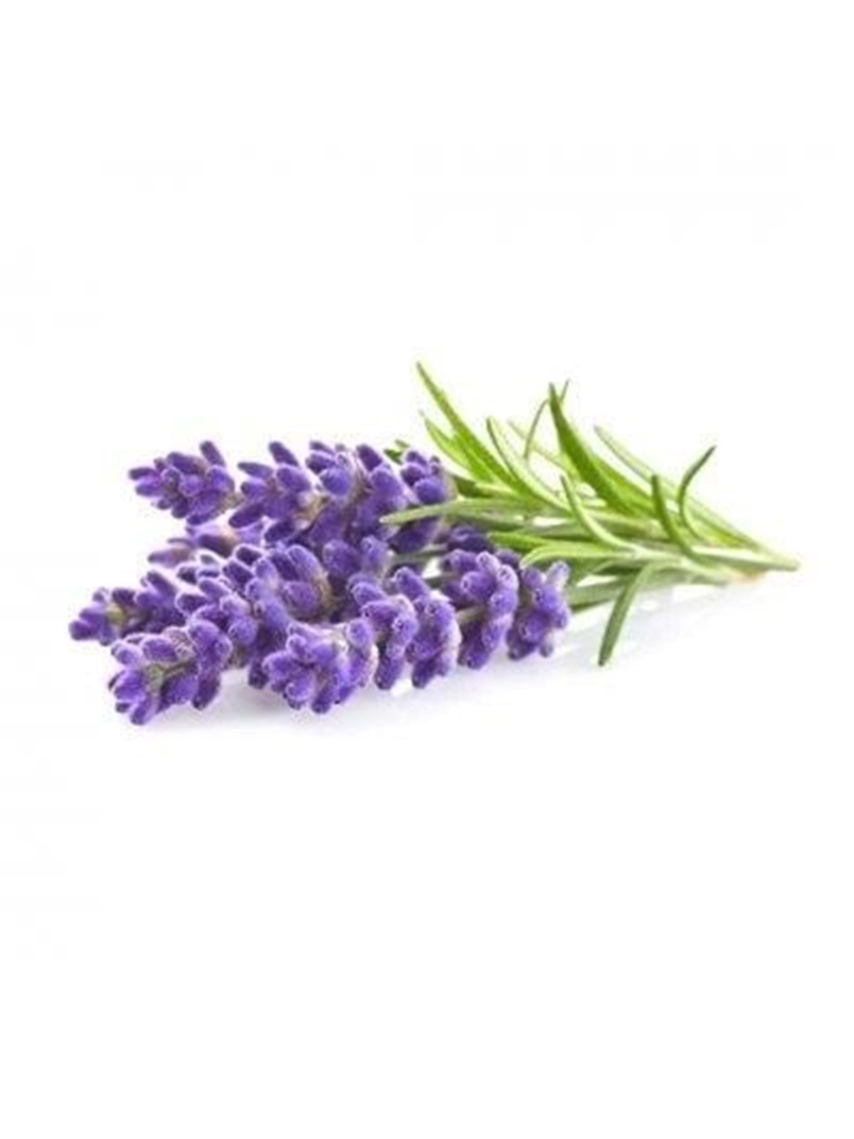 Click & Grow Click And Grow - Smart Garden Refill 3-pack - Lavender (Sgr30x3) - Smart Home