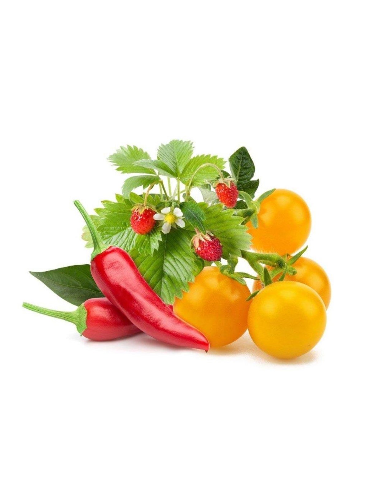 Click & Grow Click And Grow - Smart Garden Refill 9-pack Fruit And Veggie Mix - Smart Home - Ppmfvx9