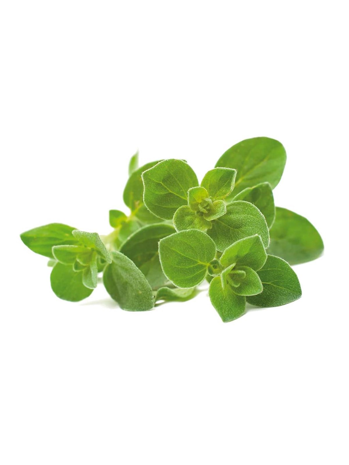 Click & Grow Click And Grow - Smart Garden Refill 3-pack Oregano - Smart Home - Sgr31x3