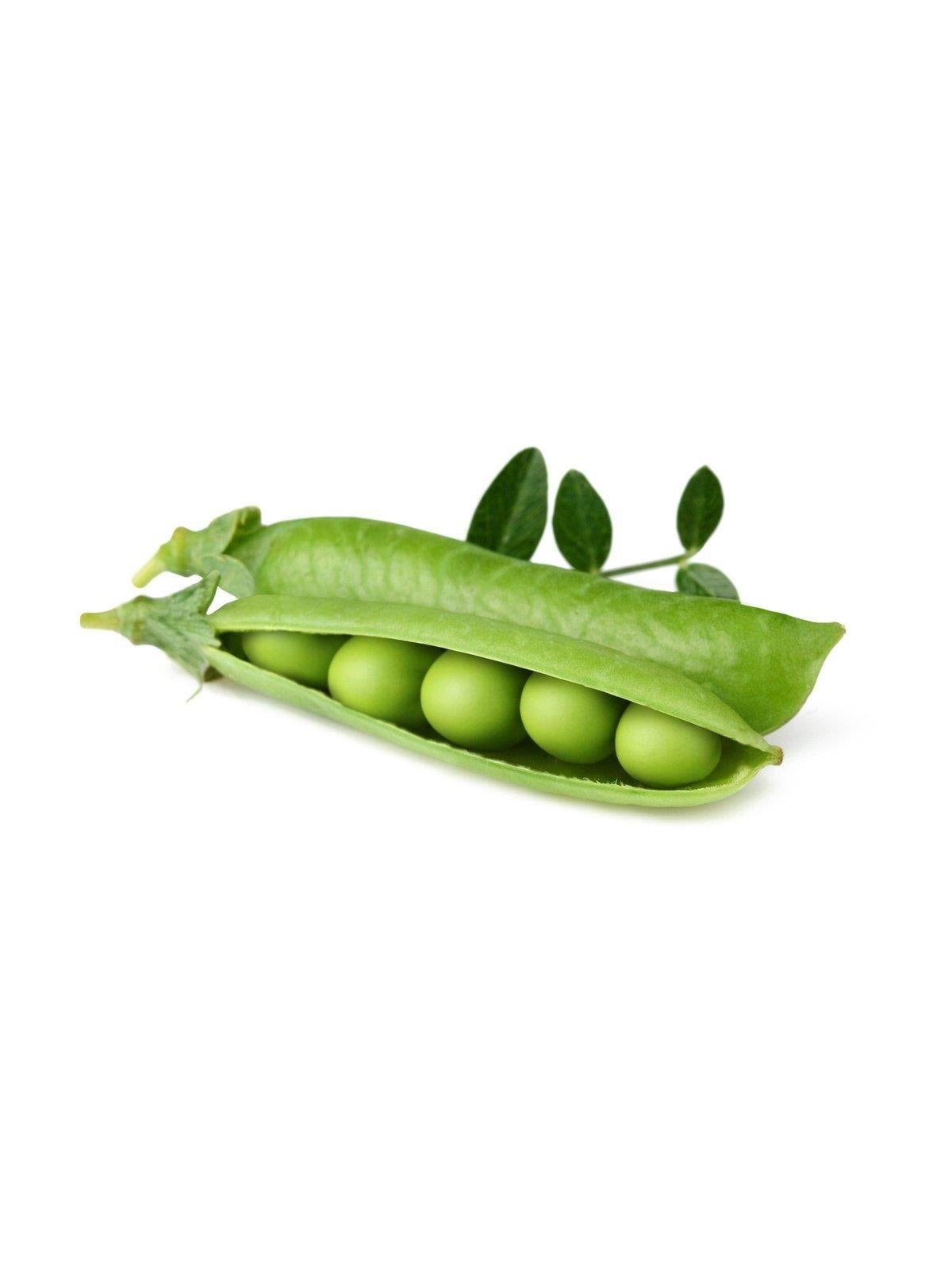 Click & Grow - Smart Garden Refill 3-pack Dwarf Pea - Smart Home - Sgr54x3