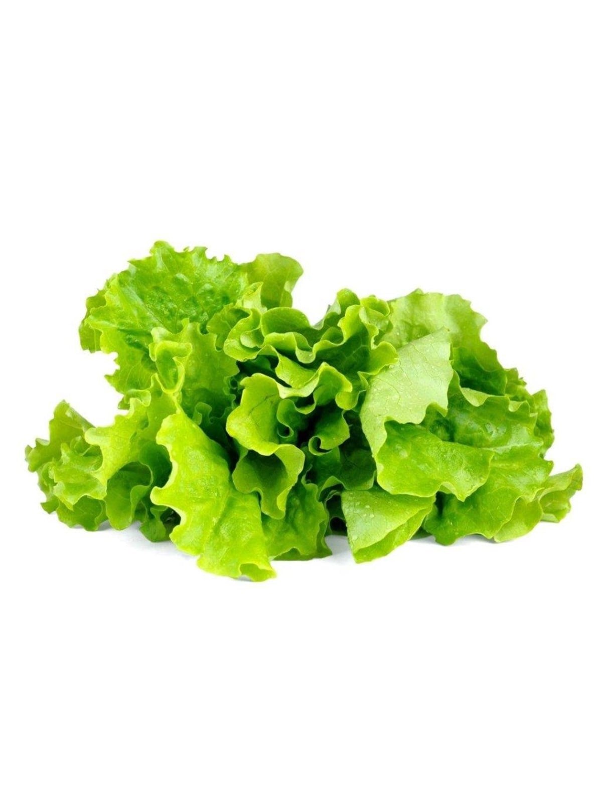 Click & Grow Click And Grow - Smart Garden Refill 3-pack - Green Lettuce (Sgr32x3) - Smart Home