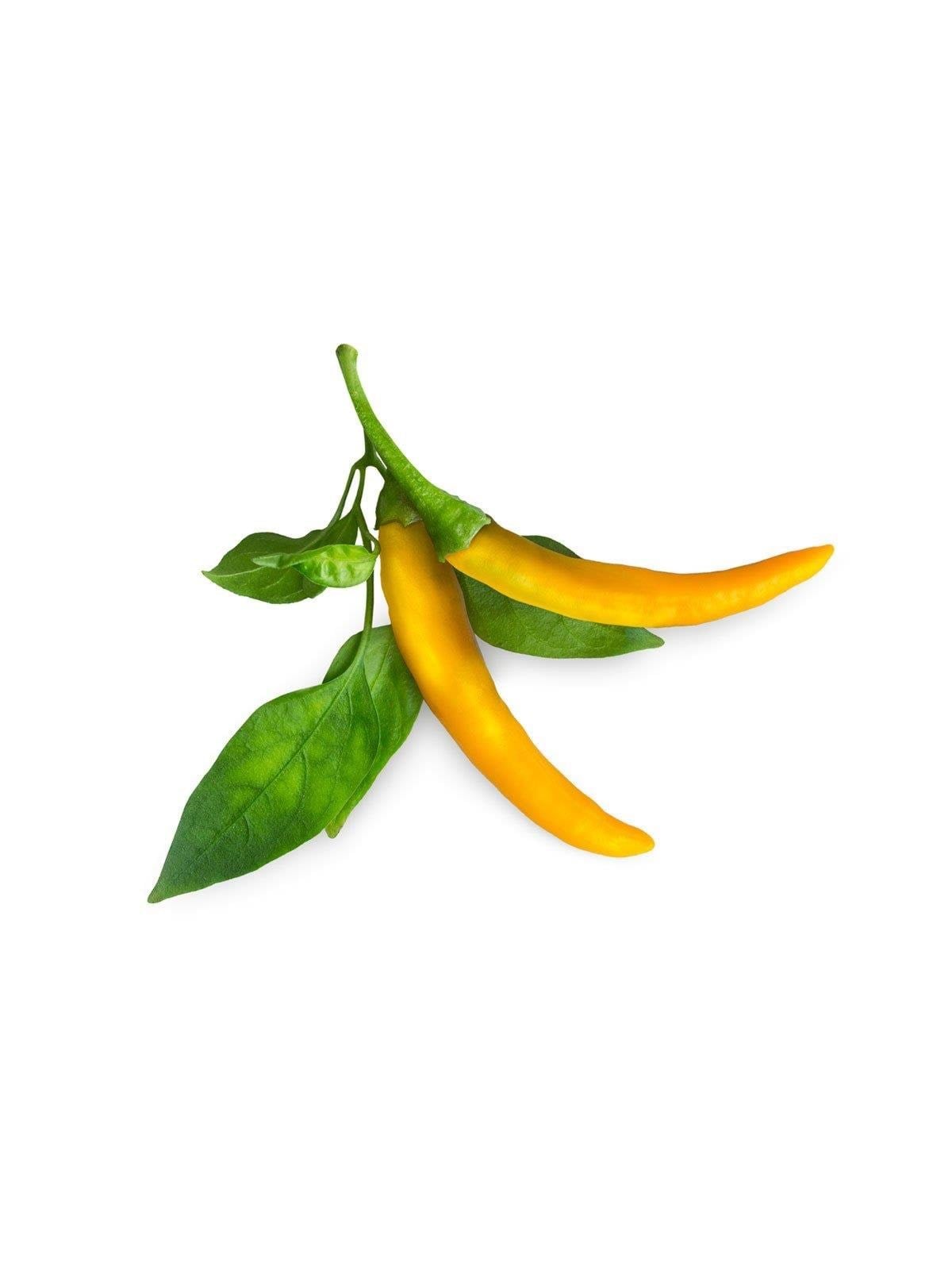 Click & Grow - Smart Garden Refill 3-pack Yellow Chili Pepper - Smart Home - Sgr60x3