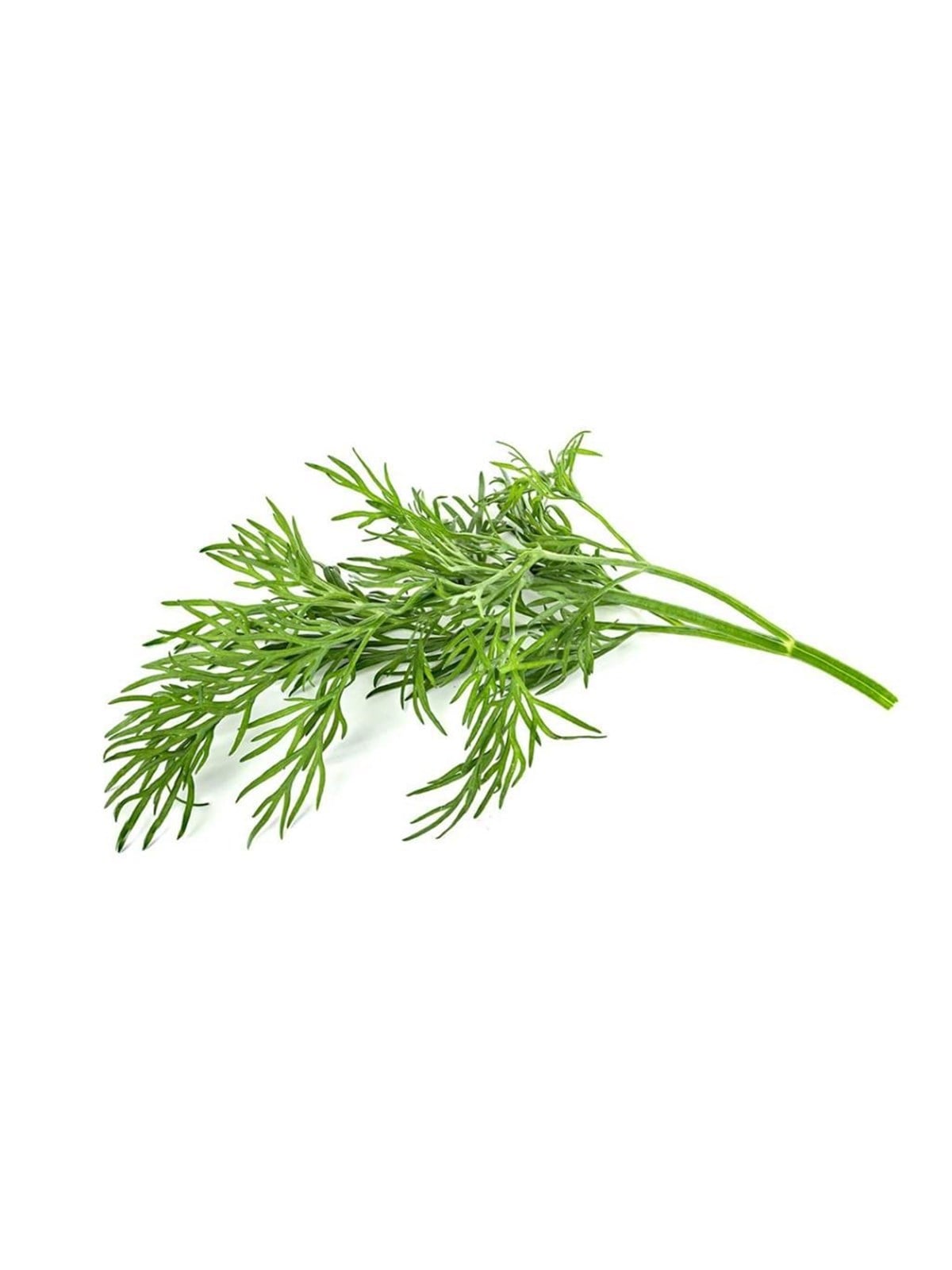 Click & Grow Click And Grow Smart Garden Refill 3-pack - Dill - Smart Home - Sgr49x3