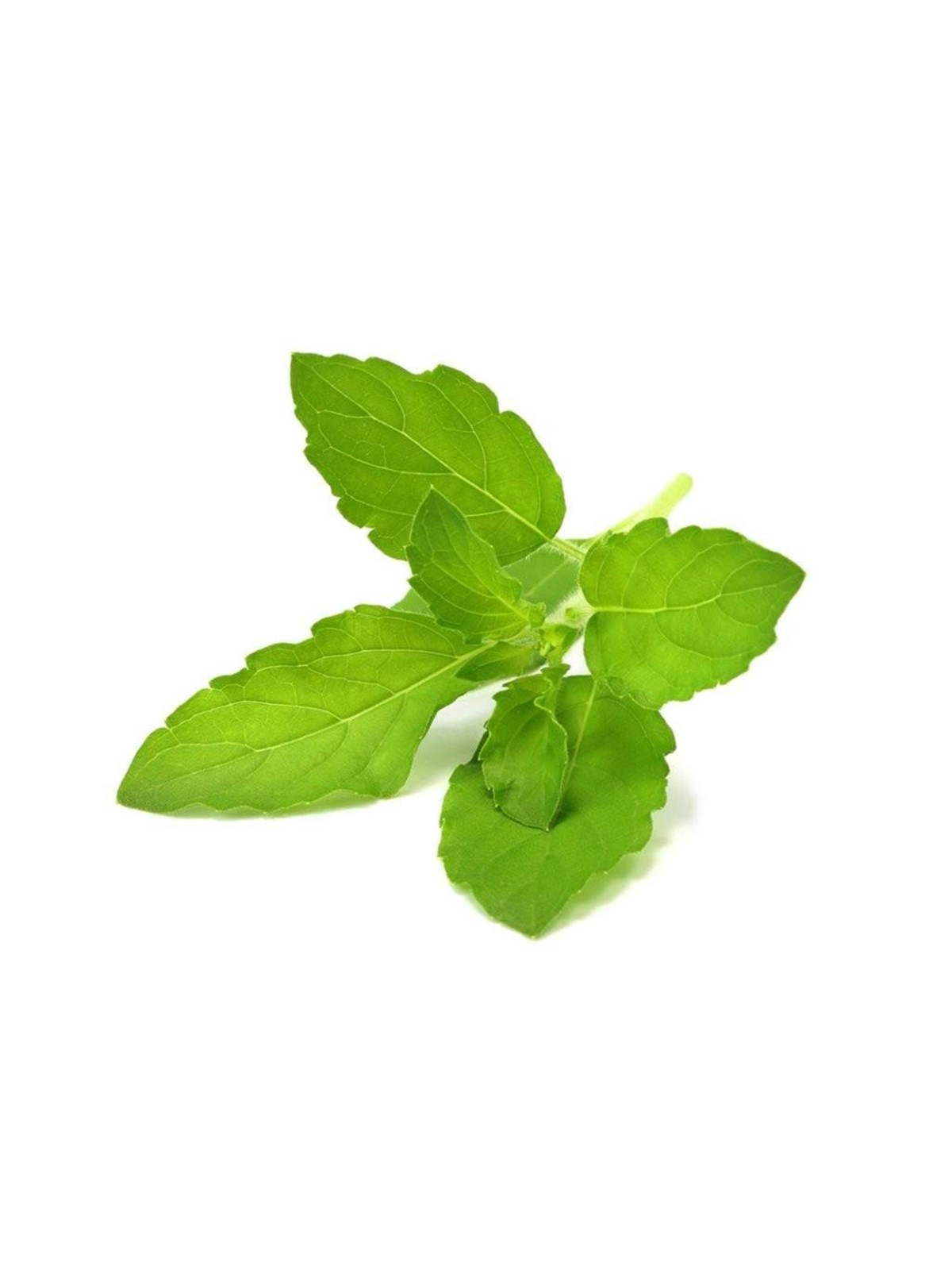 Click & Grow Click And Grow Smart Garden Refill 3-pack - Holy Basil - Smart Home - Sgr66x3