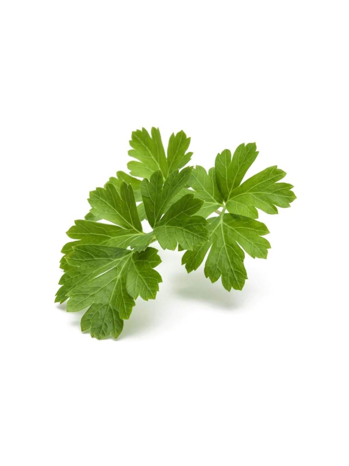 Click & Grow Click And Grow Smart Garden Refill 3-pack - Plain Parsley - Smart Home - Sgr68x3