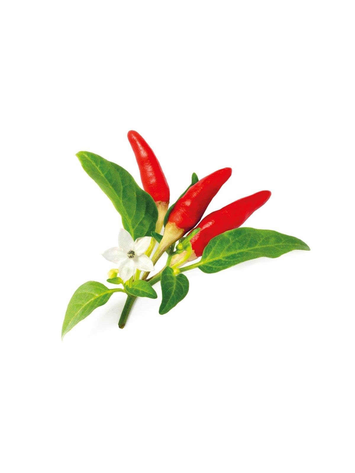 Click & Grow Click And Grow Smart Garden Refill 3-pack - Red Hot Chili Pepper - Smart Home - Sgr52x3