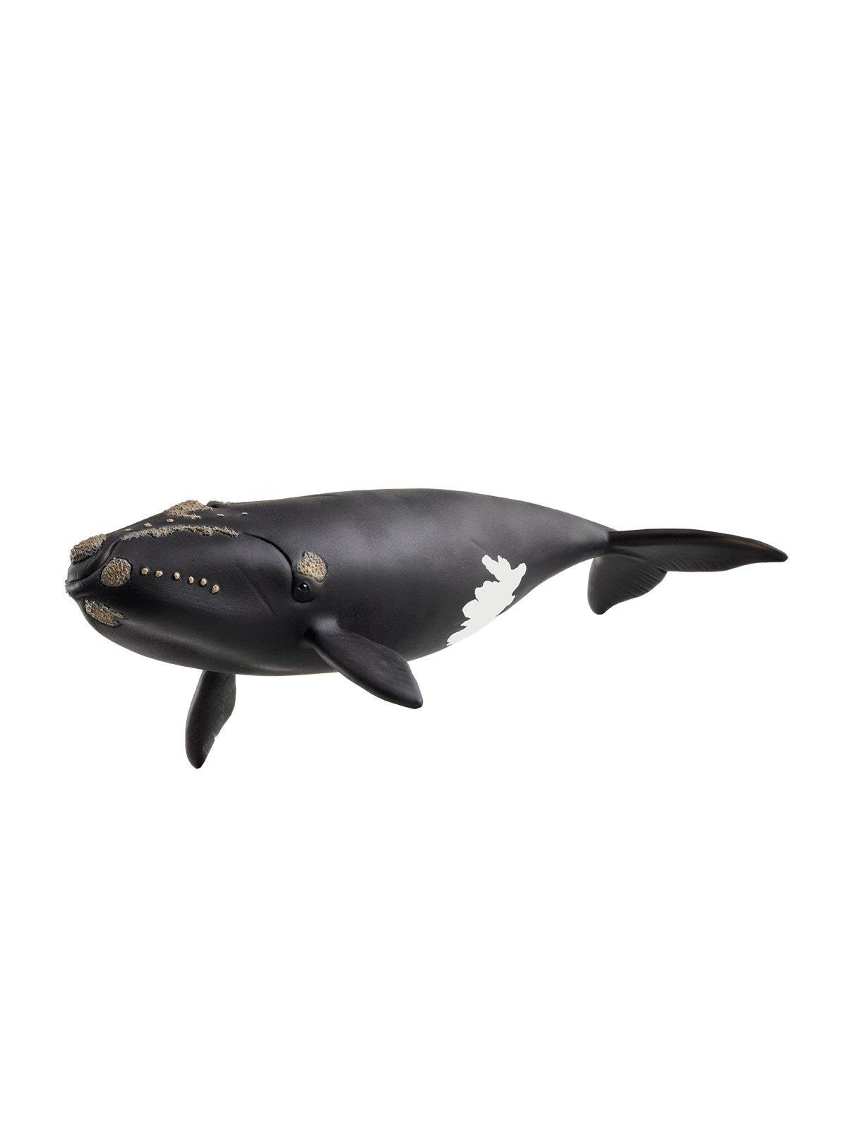 Schleich Wild Life North Atlantic Right Whale - 14878