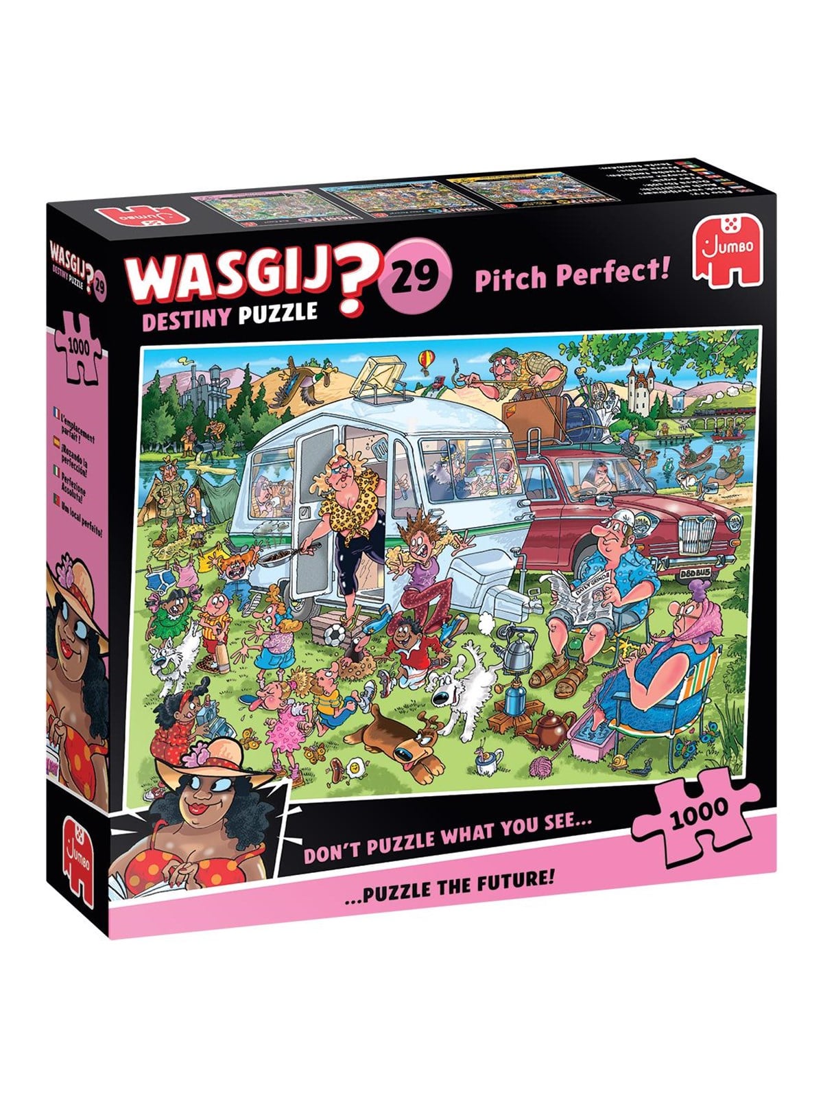 Wasgij Destiny 29 Pitch Perfect! (1000) - Puzzle - 1110100507