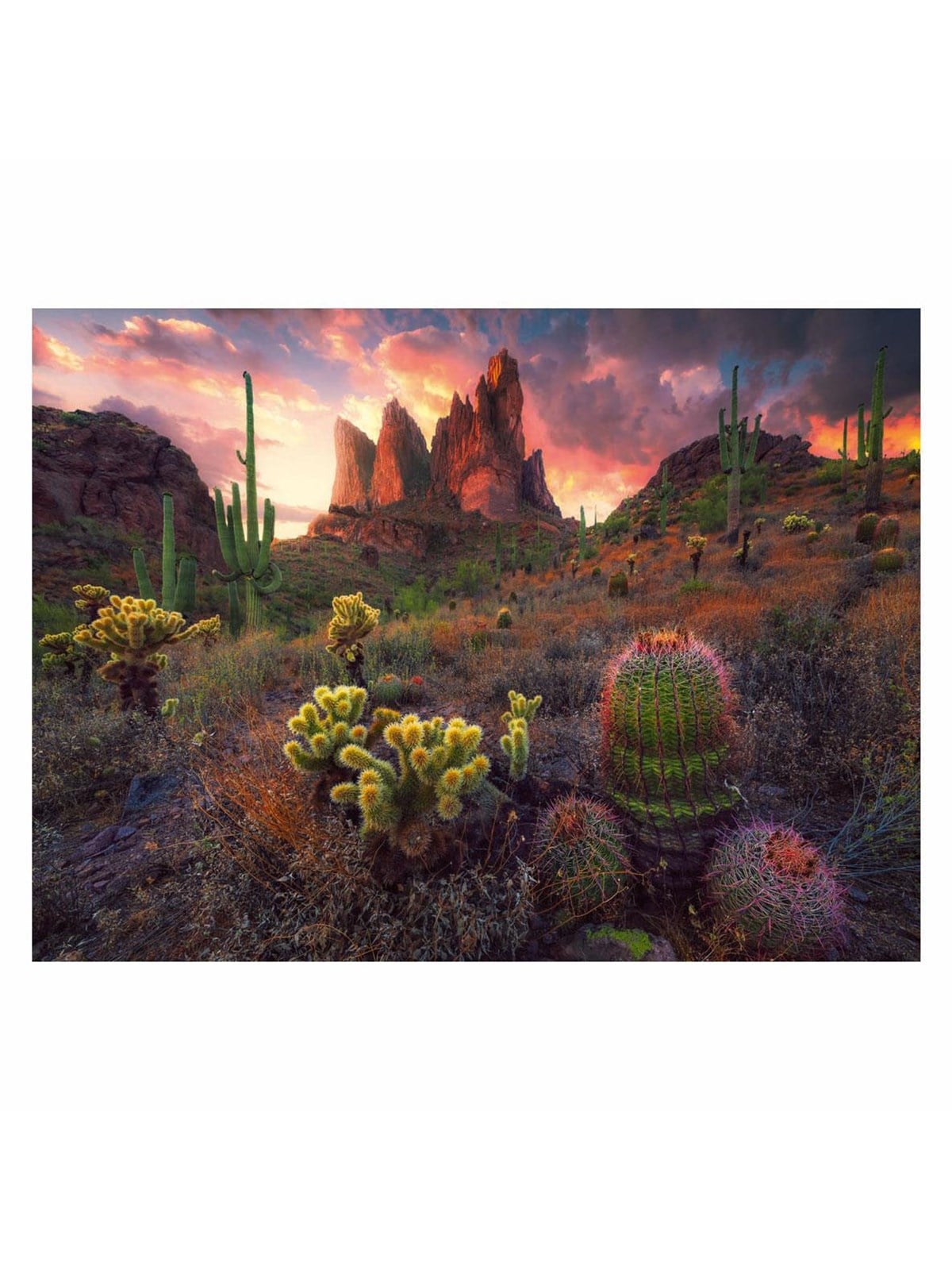 Ravensburger Jigsaw Puzzle Cactus 500 Pcs. Boden - 12001380