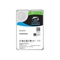 Seagate SkyHawk AI 24TB