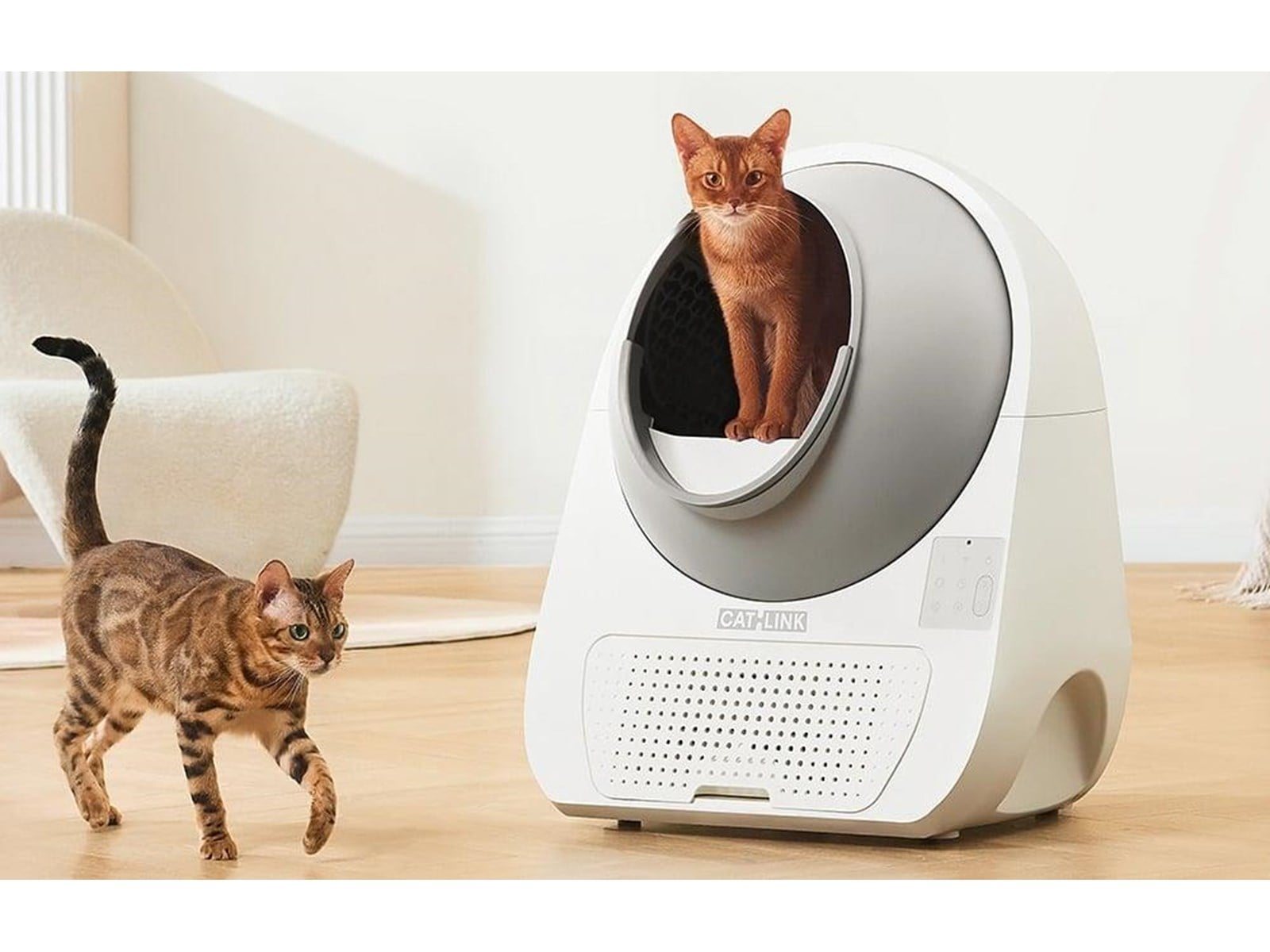 Scooper Pro Ultra Litter Box with AI Camera | Auf Lager | Günstig