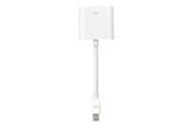 Display Kabel - Apple Mini DisplayPort zu DVI-Adapter - MB570