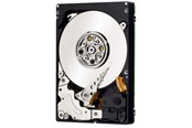 Festplatten - IBM - 300GB - Festplatten - 81Y9935 - SAS2 - 2.5" - 81Y9935