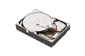 Festplatten - IBM - 1TB - Festplatten - 81Y9731 - SATA-600 - 2.5" - 81Y9731