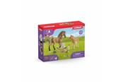 Schleich - Schleich Horse Club Sarahs Baby-Tierpflege - 42432