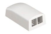 Netzwerkzubehör - PANDUIT Netkey 2-position surface mount box - NK2BXAW-A