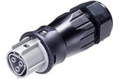 Kabel und Drähte - Wieland Rst25i3 plug female 3-pol 250v/32a 0.75-6mm2 ø=13-18mm grey - 96.031.4554.3