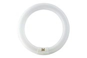 LED-Birnen - Philips Fluoreszierende Glühbirne Master TL-E Cirkular 40W/840 G10q - 928027484070
