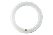 LED-Birnen - Philips Fluoreszierende Glühbirne Master TL-E Circular 22W/840 G10q - 928026284070